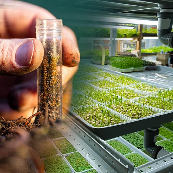 Agricultura Regenerativa: El Futuro de la Producción de Alimentos en 2025