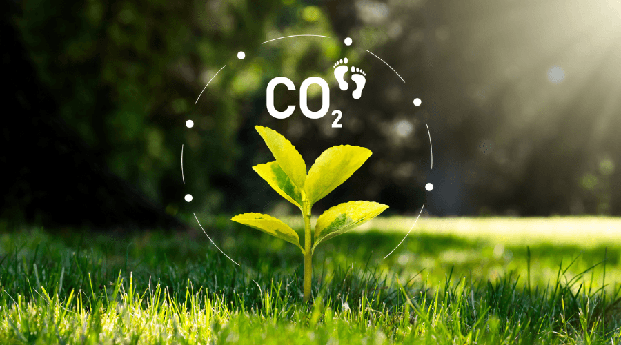 Huella de Carbono: Qué es y cómo gestionarla para reducirla
